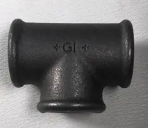 t kus.PNG